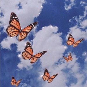 Meet your Posher, Kendall